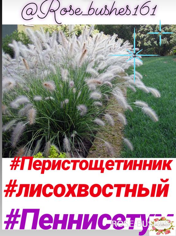 0605 ���������� ������������. �������������