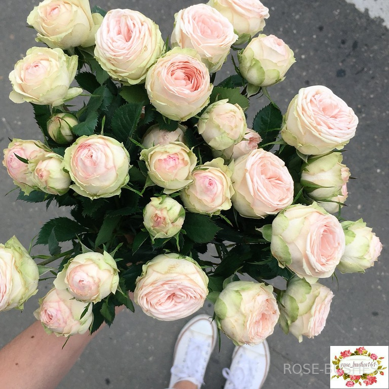 ������.�Galina. (�����) 