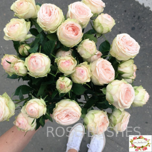 ������.�Galina. (�����) 