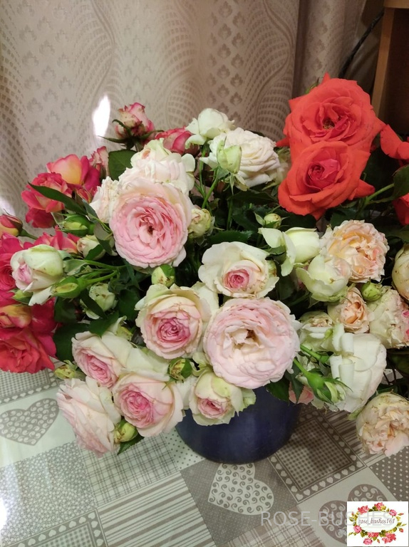 ���� �� ������. Pierre de Ronsard (����. ������.)