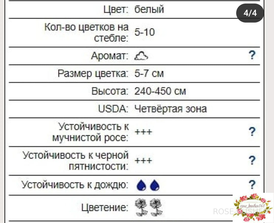 �������. Iceberg. (����. ����.)