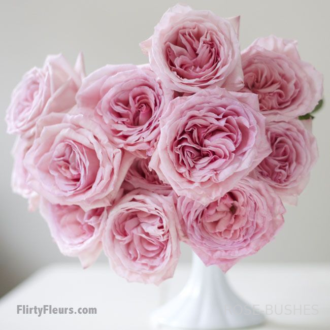 ���� �'����. Pink OHara (��, ������)