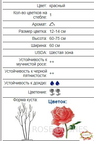 ���������. Terracotta (��) 