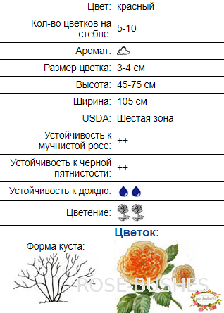 ��� �����. Red Fairy. (��. �������.)